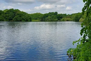 Knypersley Reservoir image