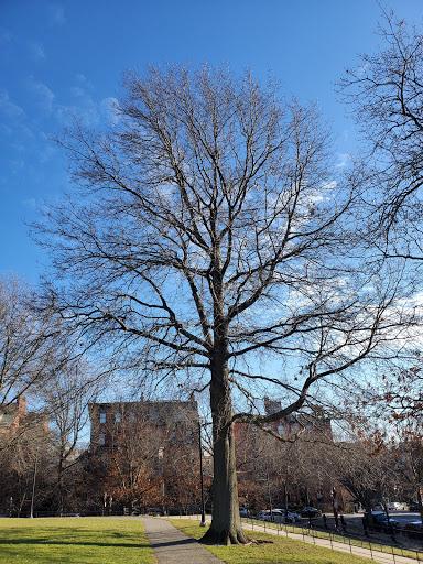 War Memorial «Bunker Hill Monument», reviews and photos, Monument Sq, Charlestown, MA 02129, USA