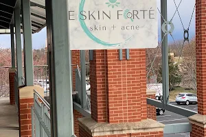 E SKIN Forte Holistic Skin & Acne Clinic image