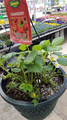 Home Improvement Store «The Home Depot», reviews and photos, 1155 High St, Wadsworth, OH 44281, USA