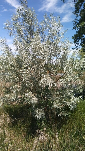 Nature Preserve «Gateway Lakes Natural Area», reviews and photos, 28th Street, Greeley, CO 80634, USA