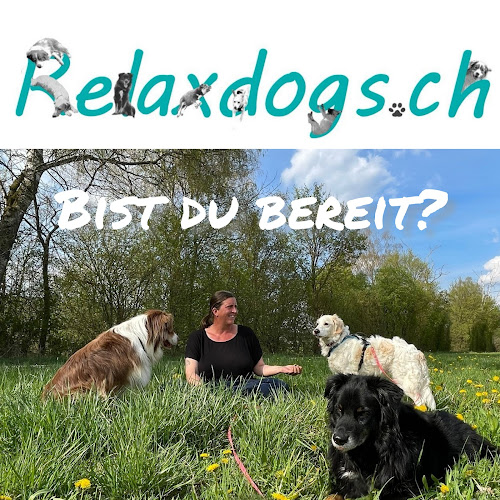 Relaxdogs.ch - Hundeschule