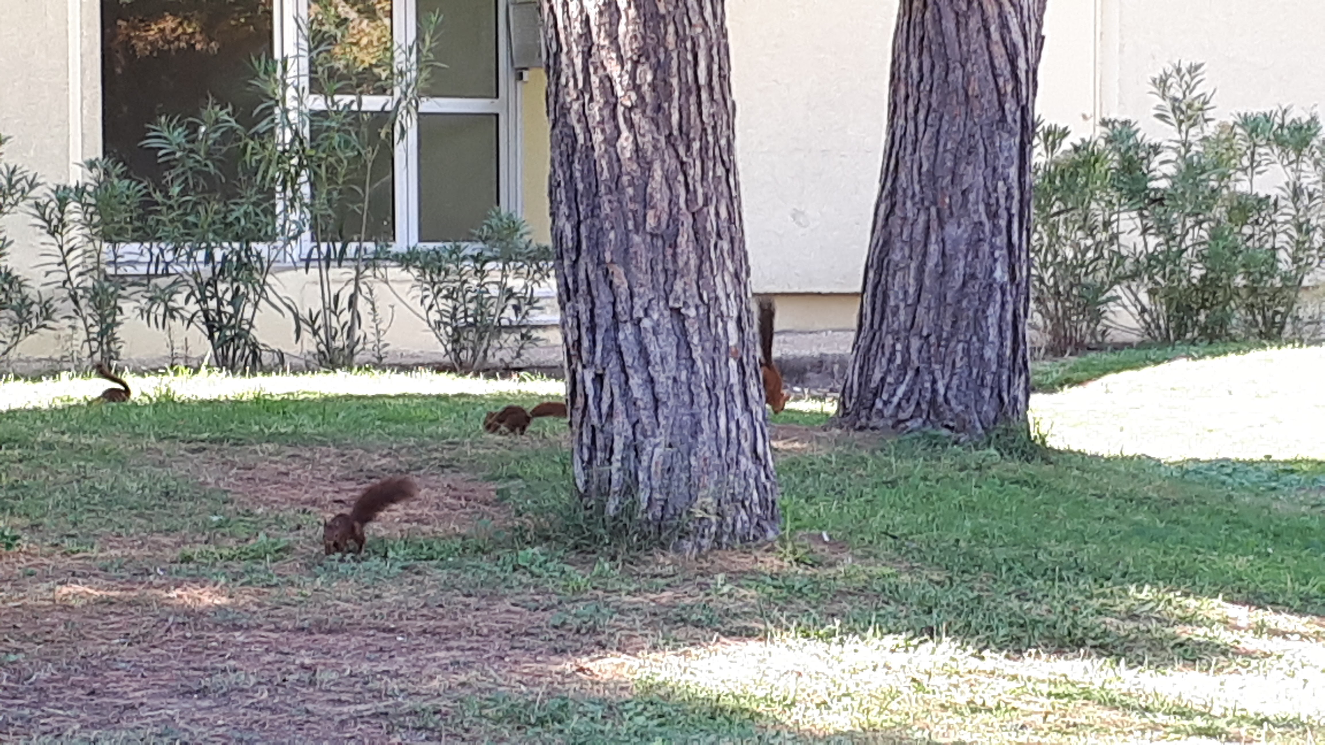 Photo n° 2 de l'avis de nicole.a fait le 13/10/2017 à 14:58