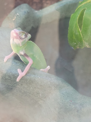 Pet Supply Store «Petco Animal Supplies», reviews and photos, 2204 Harlem Ave, North Riverside, IL 60546, USA