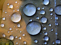 High Deductibles and Co-Pays? I have the solution. Health, Accident, Life, and Medicare Insurance - Photo 9 - Car repair in Jacksonville, NC, Jacksonville