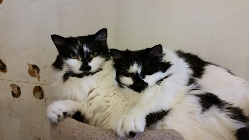 Pet Store «Next to Nature», reviews and photos, 4543 California Ave SW, Seattle, WA 98116, USA