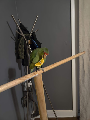 Pet Supply Store «E & M Pet Shop», reviews and photos, 5900 Whittier Blvd, Los Angeles, CA 90022, USA