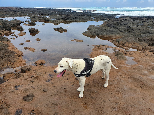 Clínica La Caridad en Tacoronte