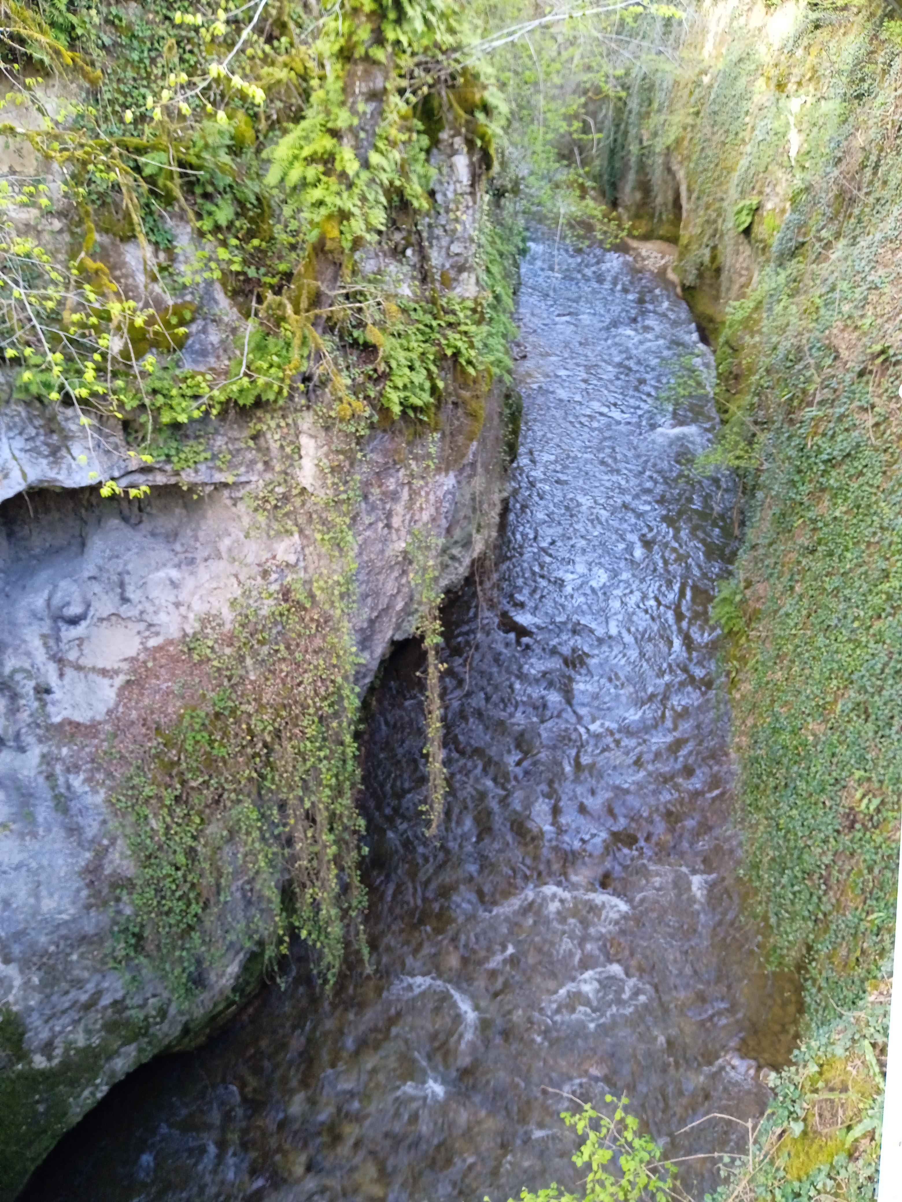 Photo n° 2 de l'avis de Patrick.e fait le 13/04/2023 à 17:34