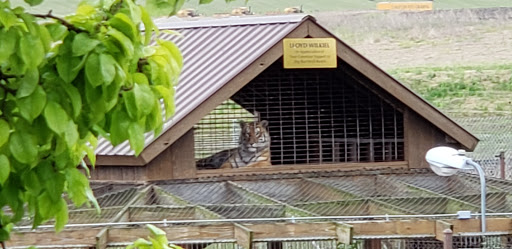 Wildlife Refuge «Big Run Wolf Ranch», reviews and photos, 14857 N Farrell Rd, Lockport, IL 60441, USA