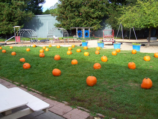 Day Care Center «Kiwi Preschool & Childcare», reviews and photos, 573 Summerfield Rd, Santa Rosa, CA 95405, USA