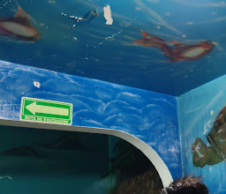 Mariscos El Tiburón photo