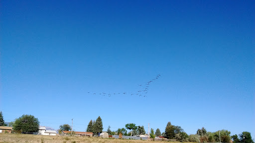 Park «Van Diest Park», reviews and photos, 1520 Chelton Rd, Colorado Springs, CO 80910, USA