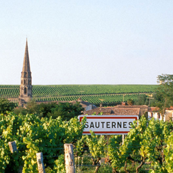 GIRONDE EMPLOI AGRICOLE SAUTERNES à Langon