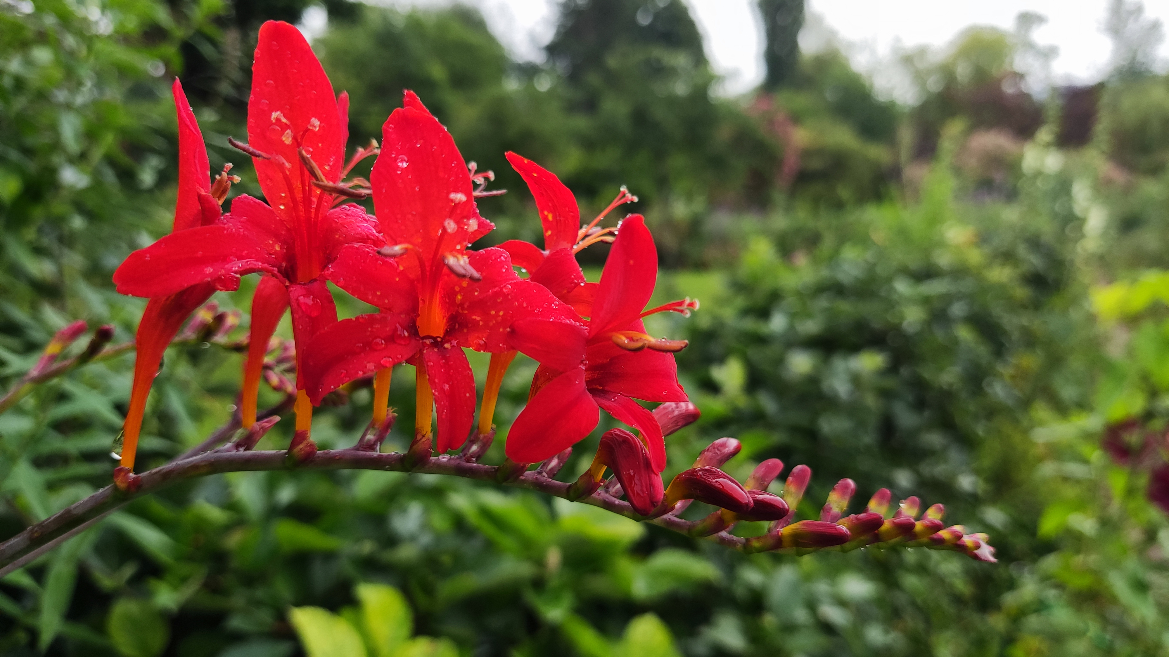 Photo n° 9 de l'avis de Cédric. fait le 03/07/2021 à 14:39