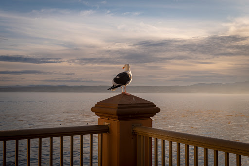 Resort «Monterey Plaza Hotel & Spa», reviews and photos, 400 Cannery Row, Monterey, CA 93940, USA