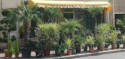 Les Floralies, Maison Brunetta à Nouzonville