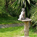 Photo n° 29 de l'avis de YOYO.R fait le 13/06/2024 à 12:52 pour Planète Sauvage à Port-Saint-Père