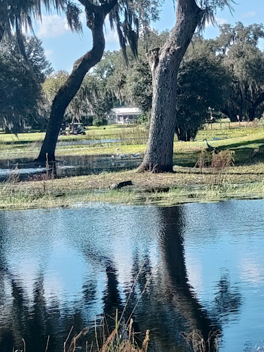 Country Club «Inverness Golf & Country Club», reviews and photos, 3150 S Country Club Dr, Inverness, FL 34450, USA