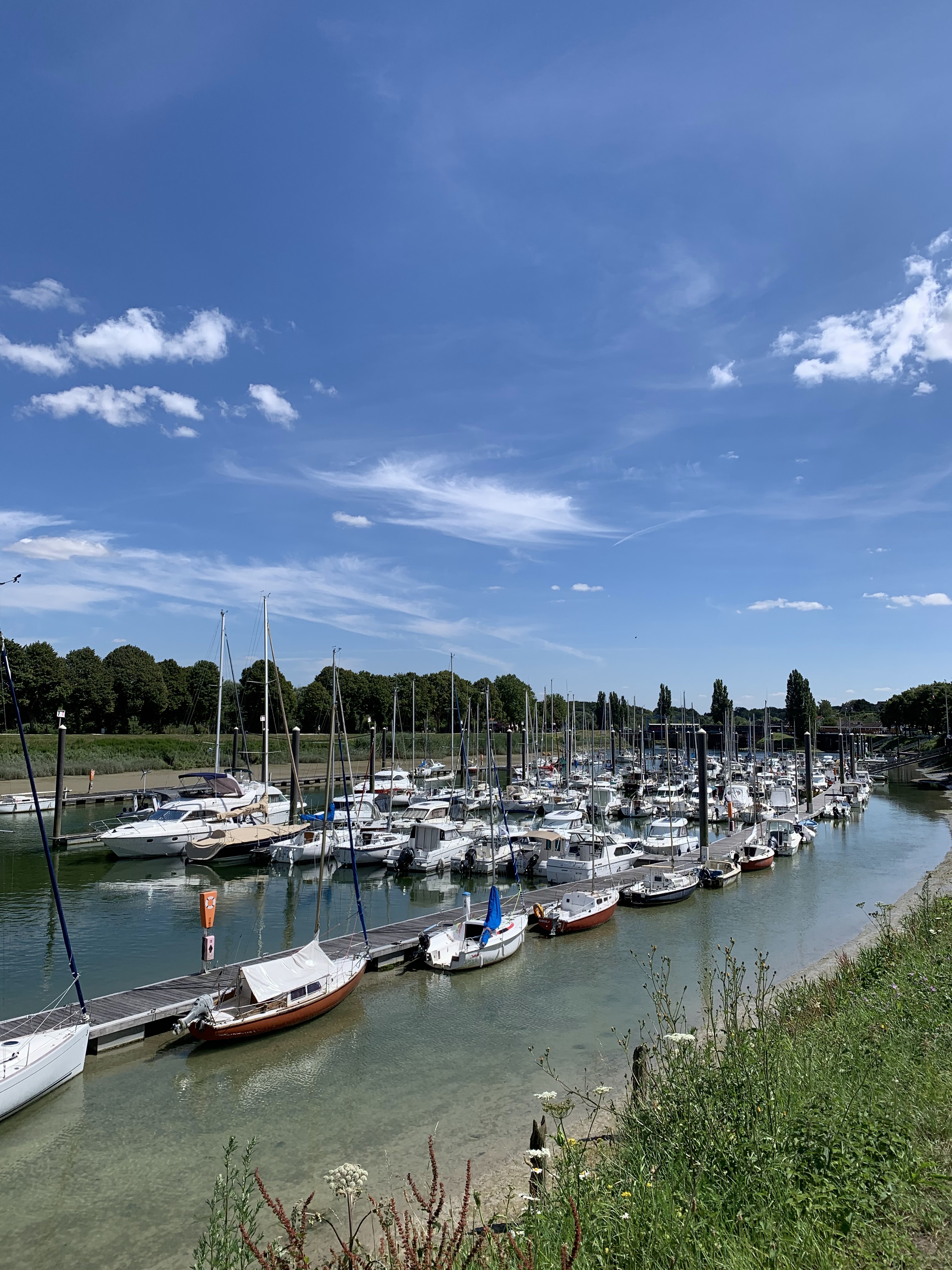 Photo n° 11 de l'avis de Gontran.e fait le 26/08/2020 à 16:22