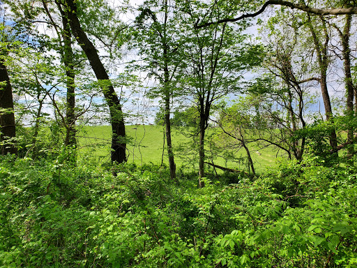 Nature Preserve «Cool Spring Preserve», reviews and photos, 1469 Lloyd Rd, Charles Town, WV 25414, USA