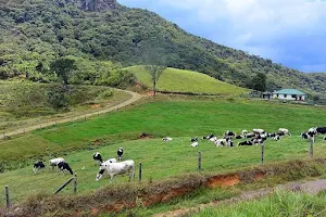 Ambewela Farm image