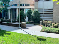 Ascension Saint Thomas Rutherford - Photo 8 - Car repair in Murfreesboro, TN, Murfreesboro