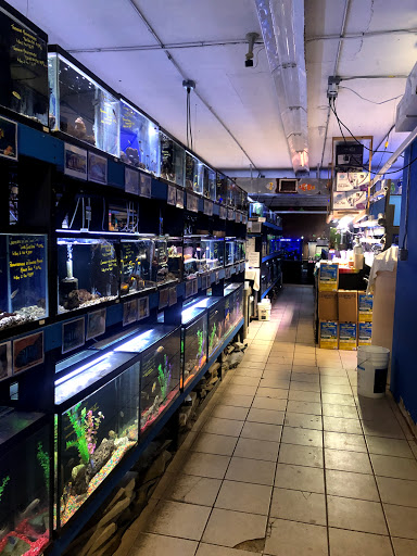 Tropical Fish Store «The Fish Hut of New Jersey», reviews and photos, 114 US-46, Saddle Brook, NJ 07663, USA