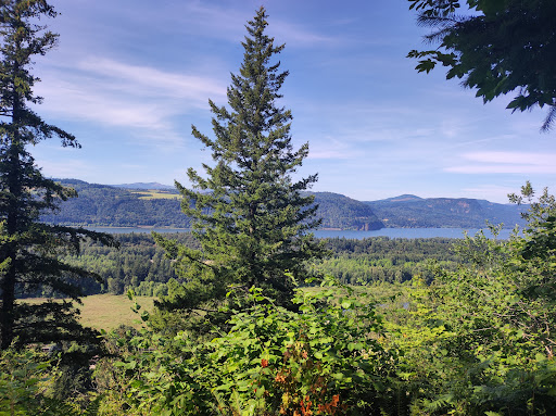 Waterfall «Latourell Falls», reviews and photos, Historic Columbia River Hwy, Corbett, OR 97019, USA