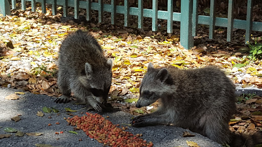 Park «Sewell Park», reviews and photos, 1801 NW S River Dr, Miami, FL 33125, USA