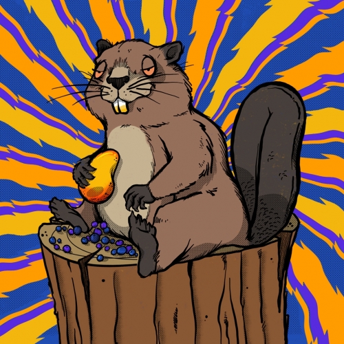 Beer Distributor «Rt 19 Beer & Cigar», reviews and photos, 3626 Washington Rd, McMurray, PA 15317, USA