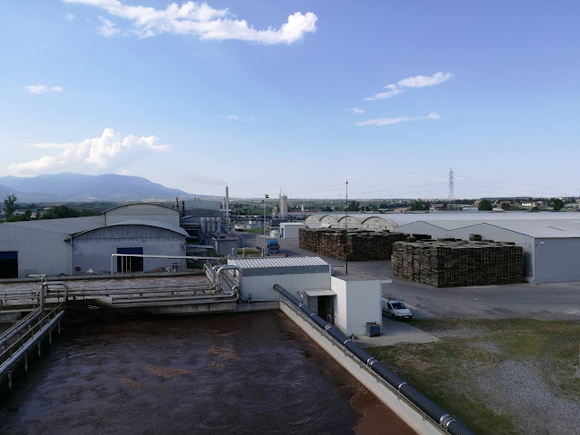 ΠΑΥΛΙΔΗΣ, ΠΡ., Α.Β.Ε.Ε.- P. PAVLIDES SA - Γιαννιτσά