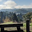 Duwamish Hill Preserve