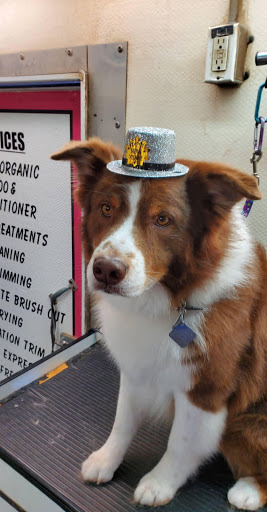 Dogs Unlimited Mobile Grooming