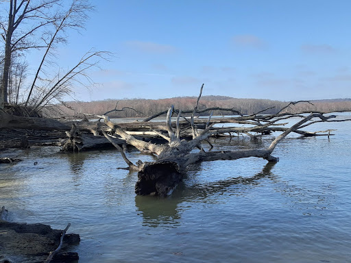 Tourist Attraction «West Branch State Park Beach», reviews and photos, Esworthy Rd, Ravenna, OH 44266, USA