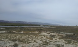 Tijuana River National Estuary Visitor Center