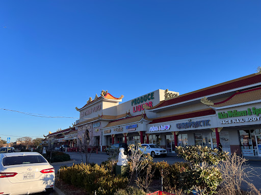 Grocery Store «Ben Thanh Plaza and Central Market», reviews and photos, 1818 E Pioneer Pkwy #100, Arlington, TX 76010, USA