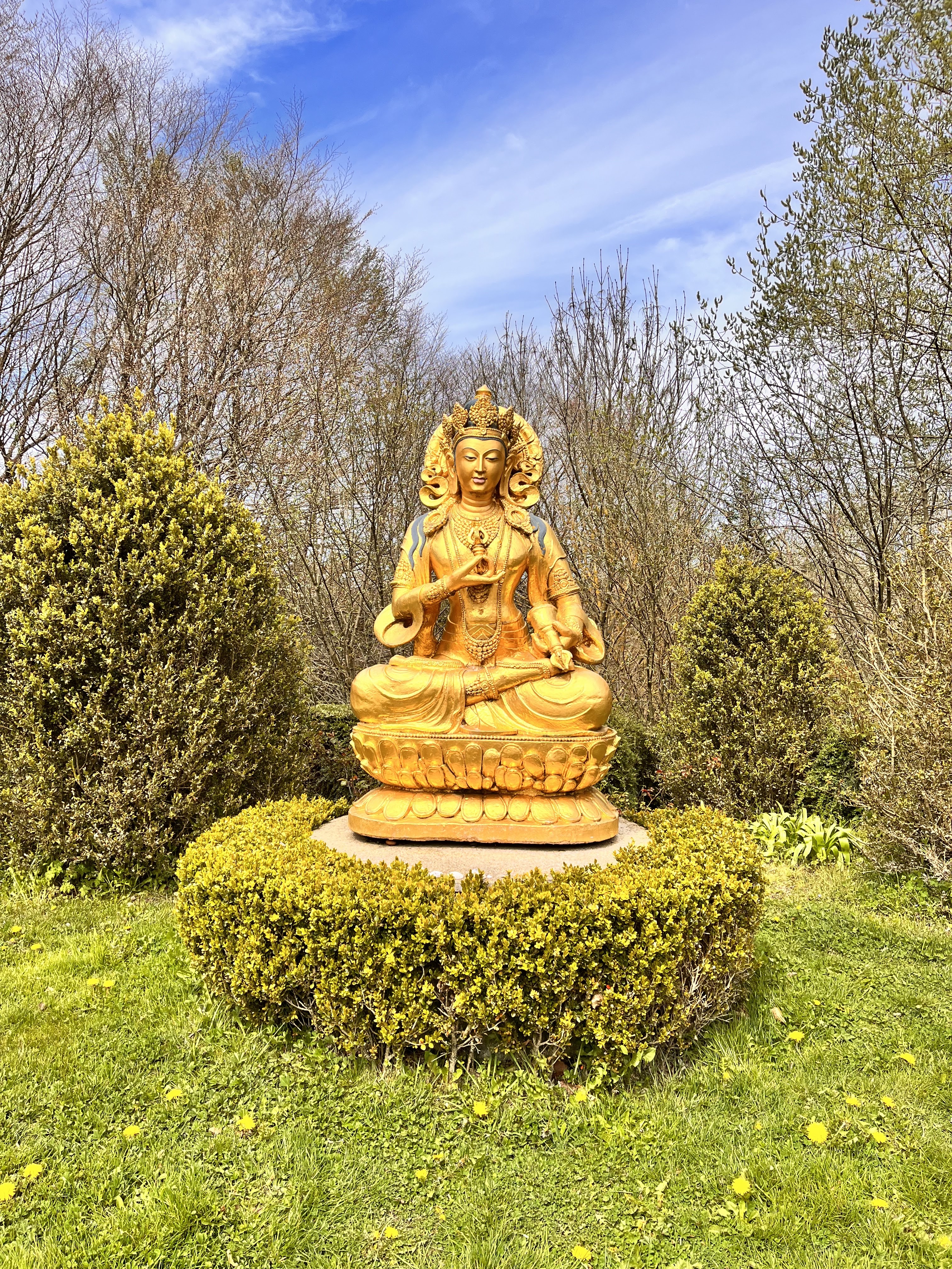 Photo n° 2 de l'avis de Estelle.u fait le 12/03/2024 à 15:17