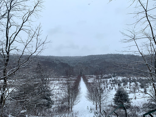 Tourist Attraction «Dover Stone Church», reviews and photos, 3128 NY-22, Dover Plains, NY 12522, USA