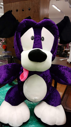 Non-Profit Organization «Goodwill», reviews and photos