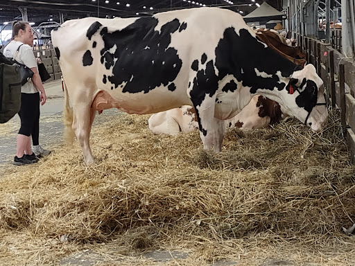 Convention Center «Kentucky Exposition Center», reviews and photos, 937 Phillips Ln, Louisville, KY 40209, USA