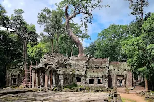 Ta Prohm Temple image
