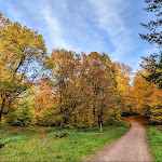 Photo n°1 de l'avis de Kaushik.a fait le 30/10/2021 à 15:47 sur le  Restaurant Kärntner Hütte à Hamburg