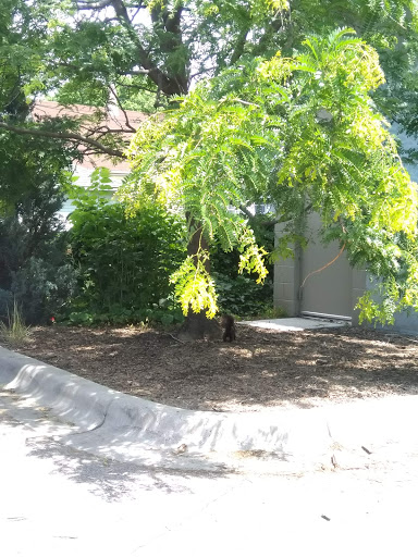 Coffee Shop «Peace Coffee», reviews and photos, 3262 Minnehaha Ave, Minneapolis, MN 55406, USA