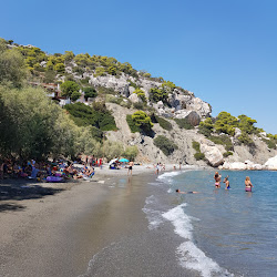 Paralia Aias II'in fotoğrafı vahşi alan
