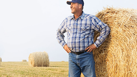 166 N State St, Morgan, UT 84050, USA