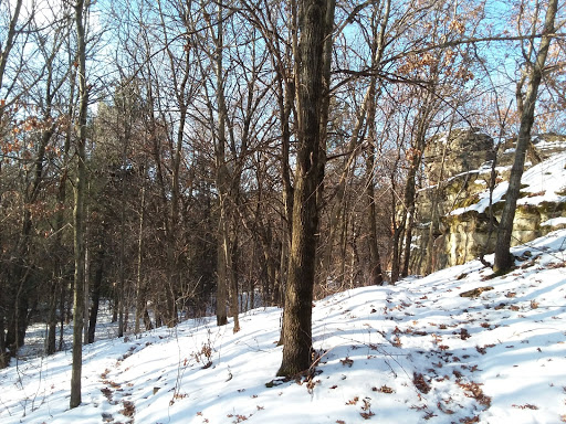 Nature Preserve «Chimney Rock Scientific and Natural Area (SNA)», reviews and photos, Joan Ave, Hastings, MN 55033, USA