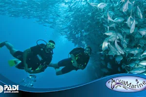 AquaMarine Diving - Bali image