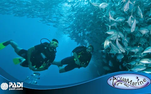 AquaMarine Diving - Bali image
