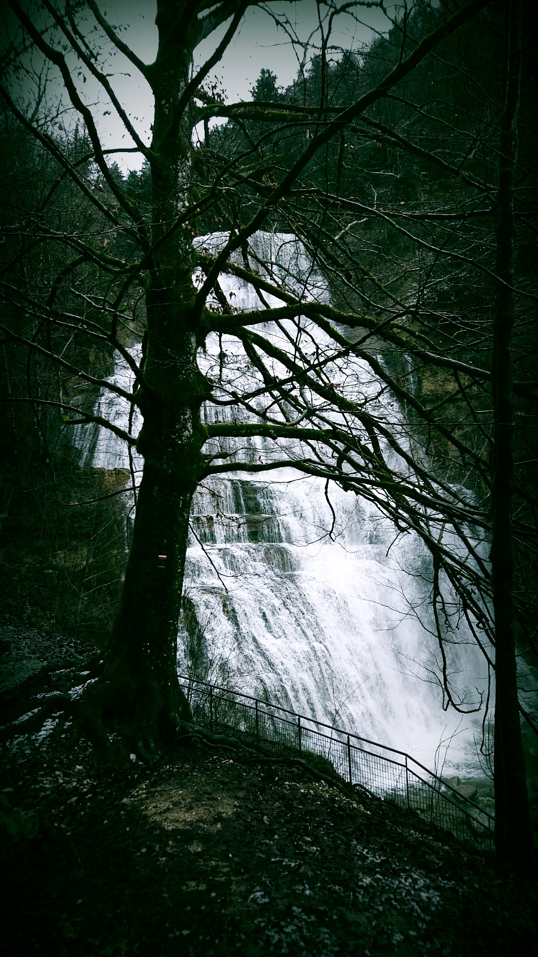 Photo n° 1 de l'avis de Christophe.R fait le 11/02/2019 à 17:33